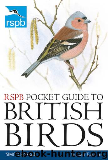 rspb cuddly birds